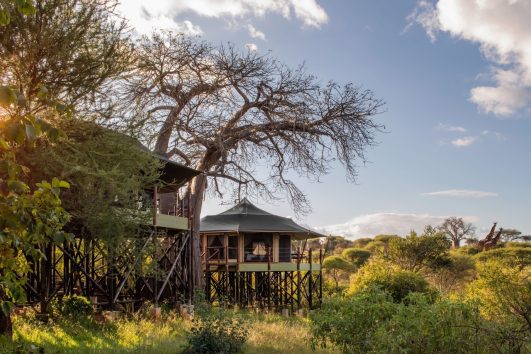 8-Day Private Luxury Tanzania Safari