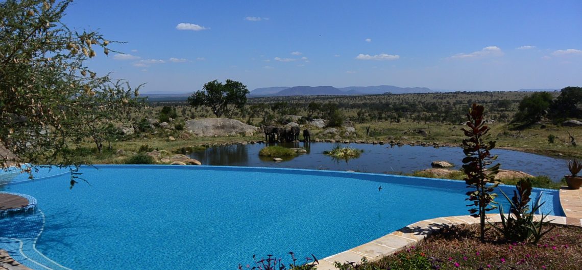 Tanzania Luxury Safaris Blog