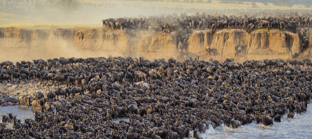 Serengeti National Park
