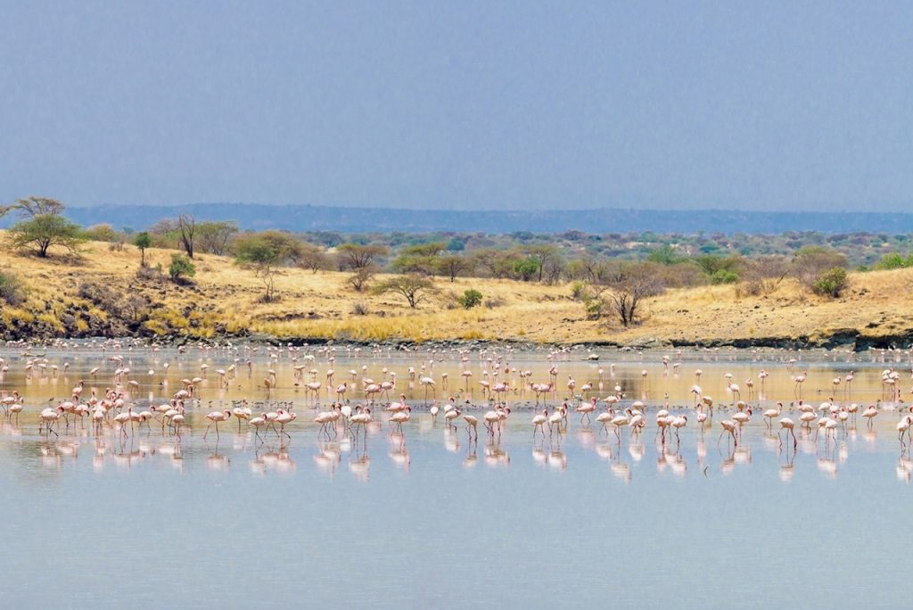 Ngorongoro Crater Lake Magadi