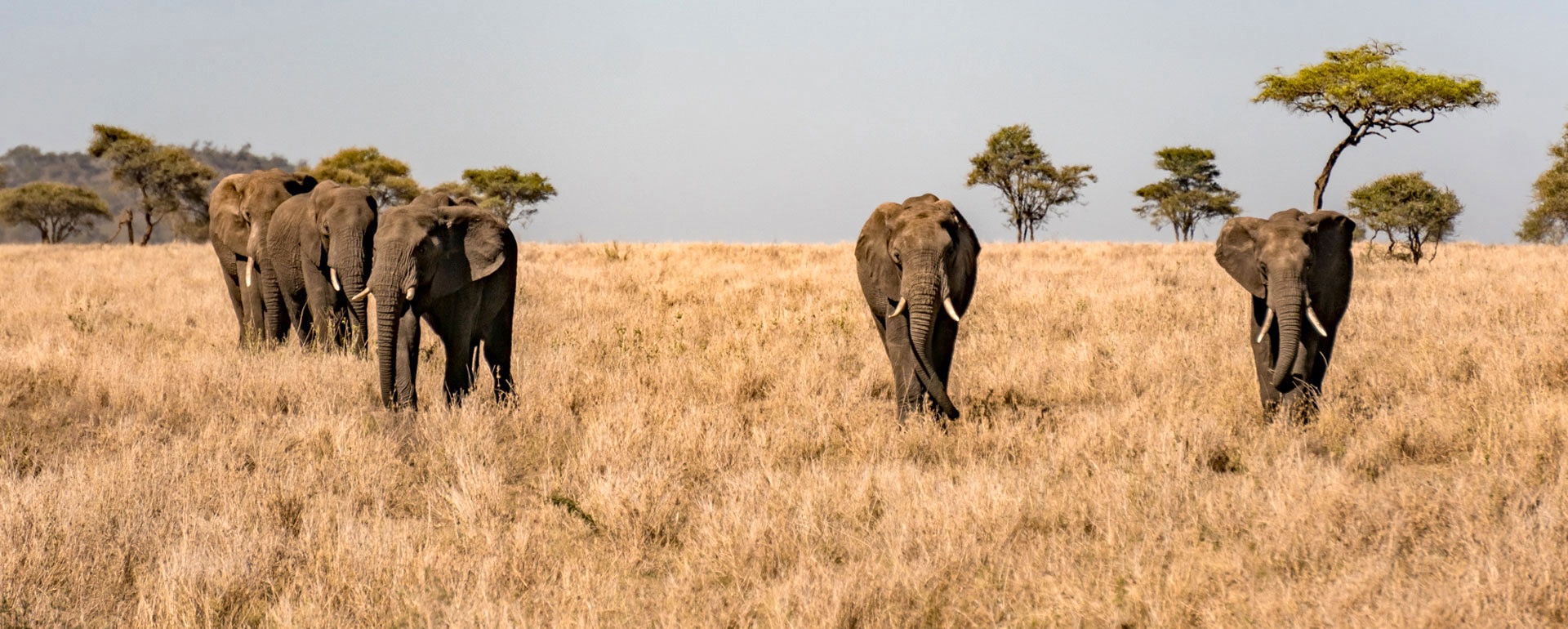 Tarangire National Park, Tanzania