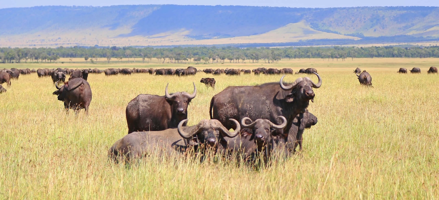 Ngorongoro Crater, Tanzania