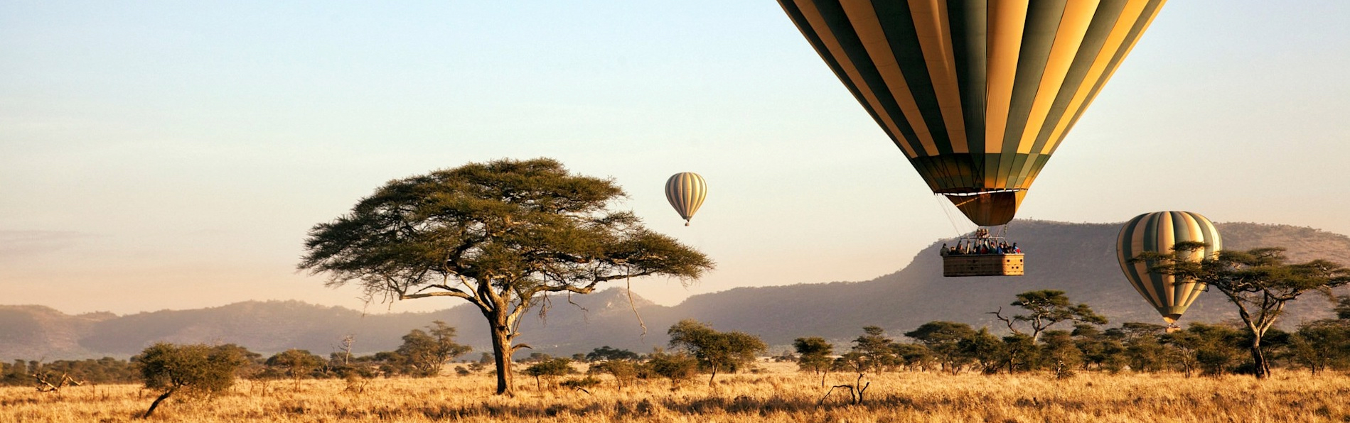 Contact Tanzania Luxury Safari