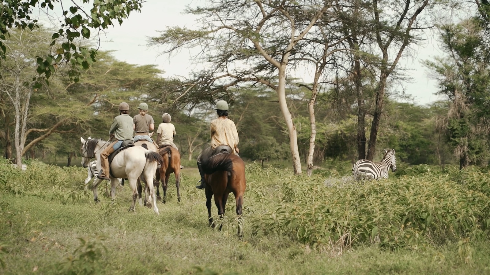 Horse Riding Safari Tanzania Experiences