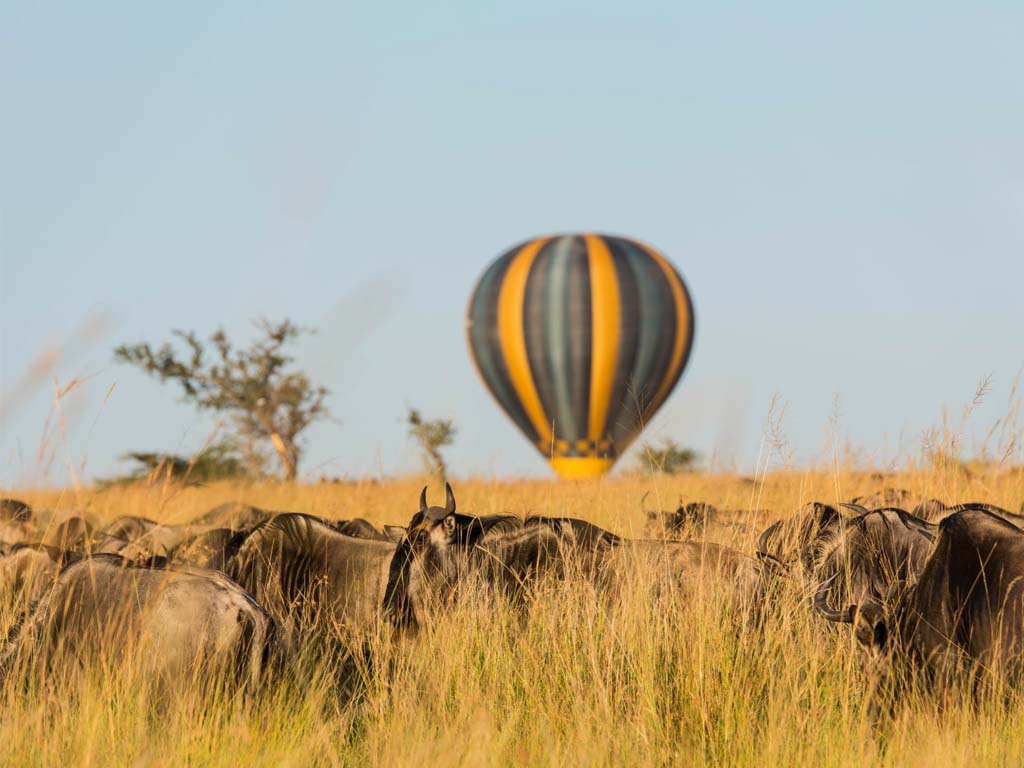 Hot Air Balloon Safari Tanzania