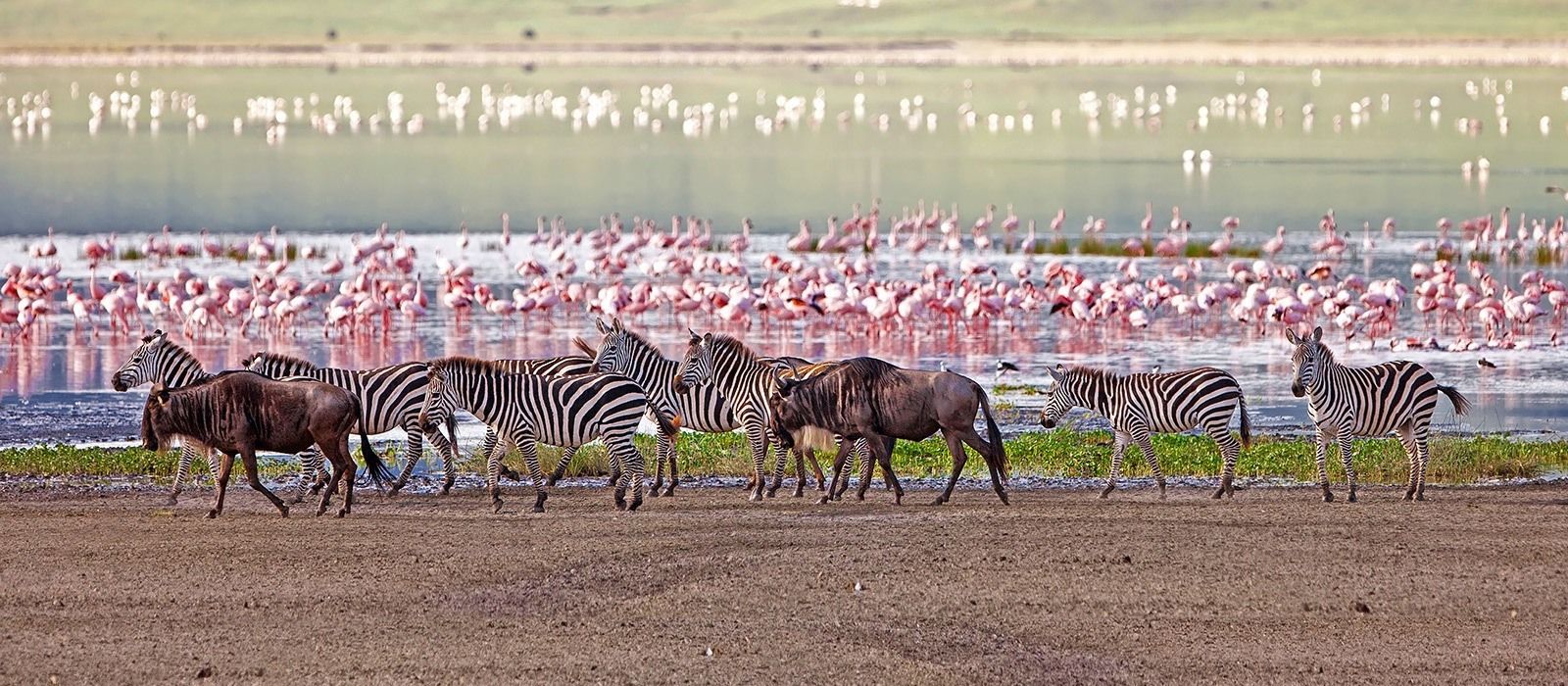 Lake Manyara National Park, Tanzania