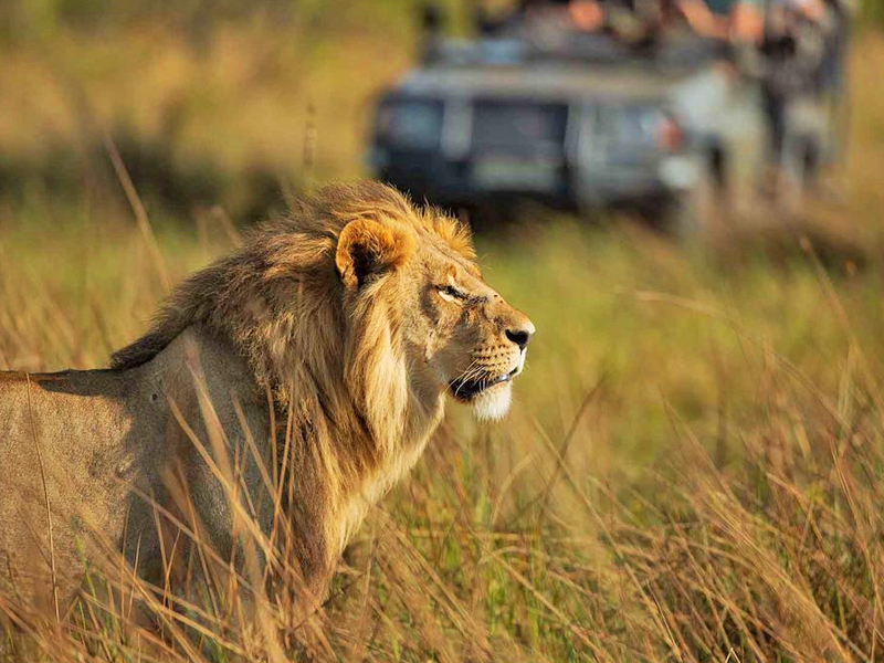 Nyerere-National-Park Nyerere National Park