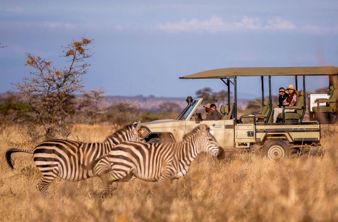 Safari Nyerere National Park