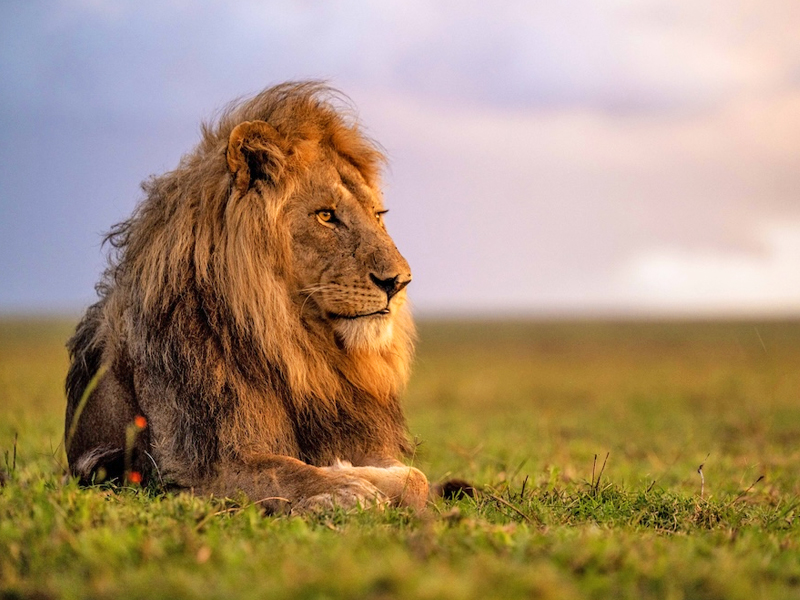 Serengeti-national-Park Serengeti national Park