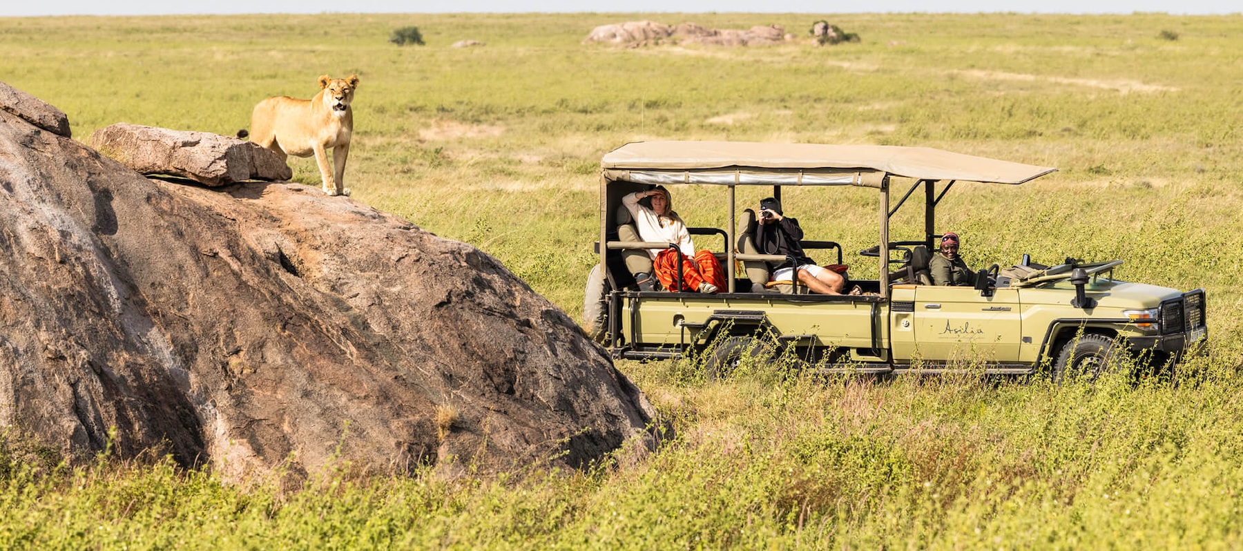 Unforgettable Luxury Safari Experiences in Tanzania