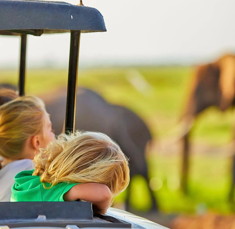 Tanzania luxury family safari