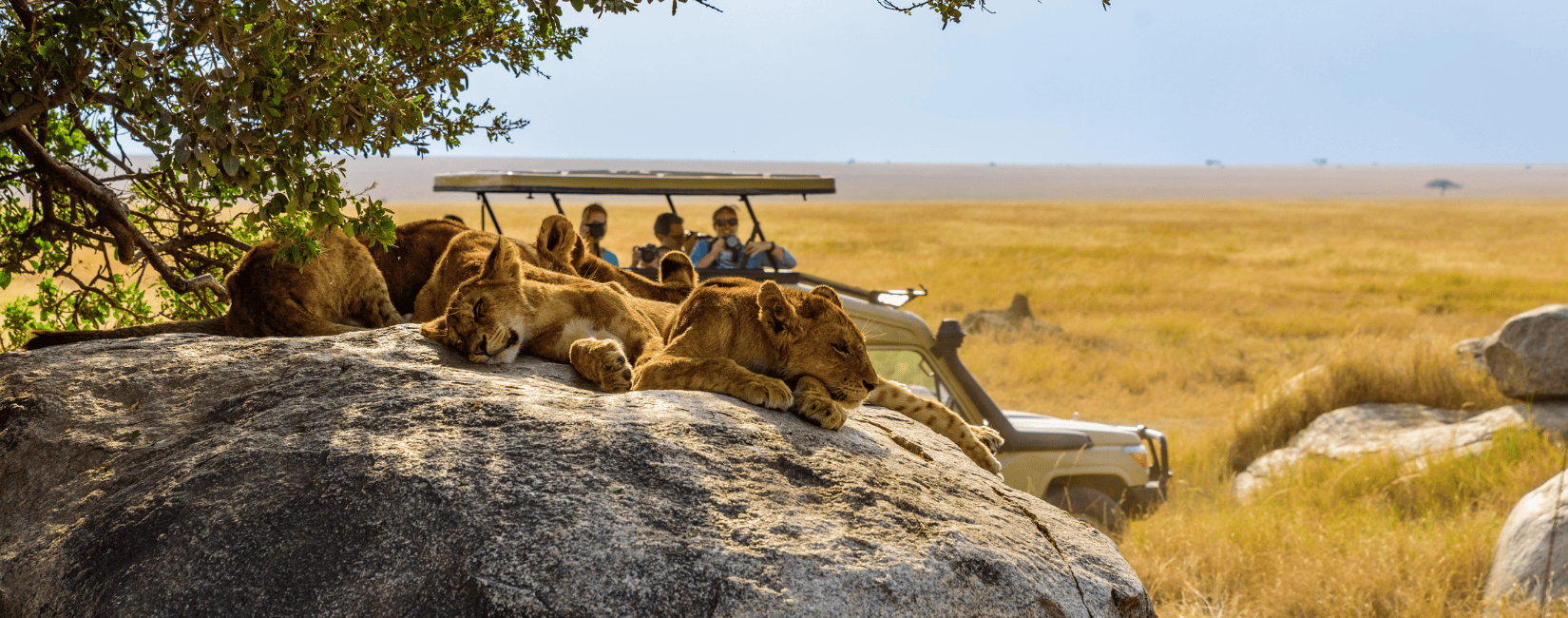 Top Luxury Safari Destinations in Tanzania