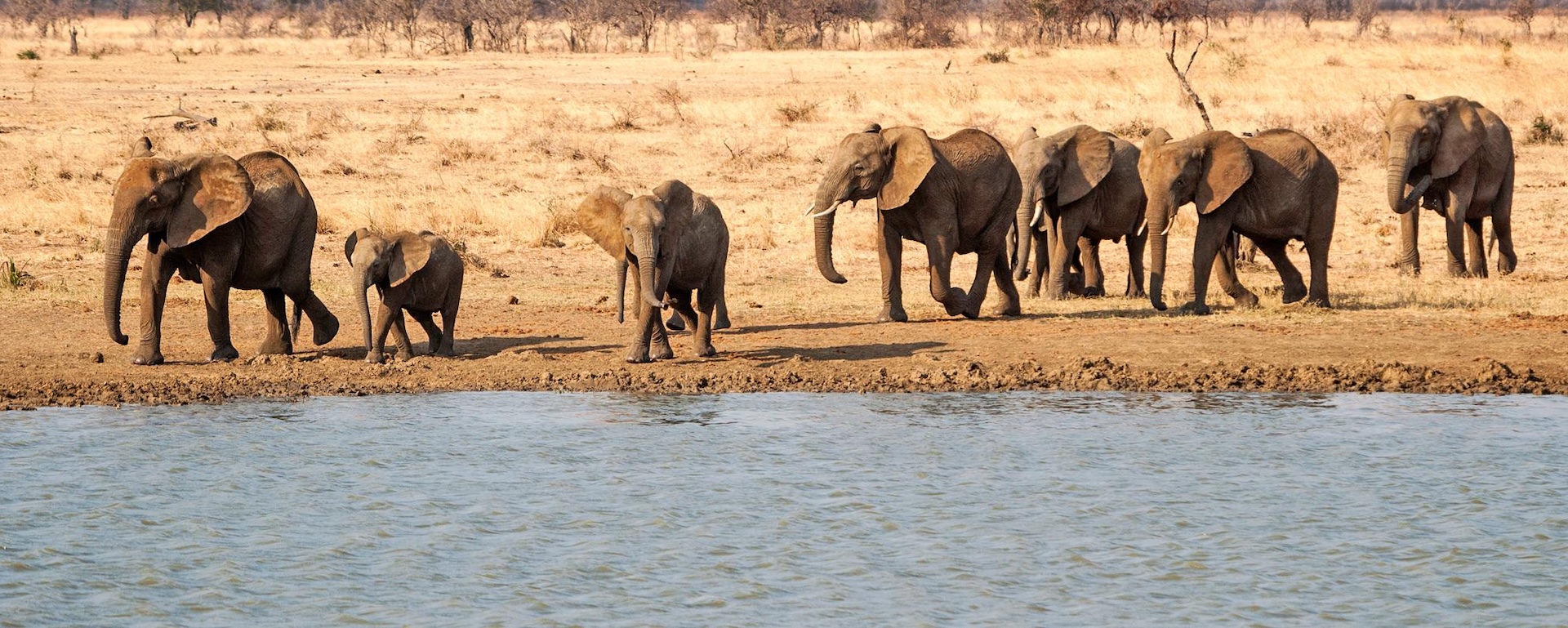 Ultimate Mikumi National Park Safari Guide | Tanzania Luxury Safari