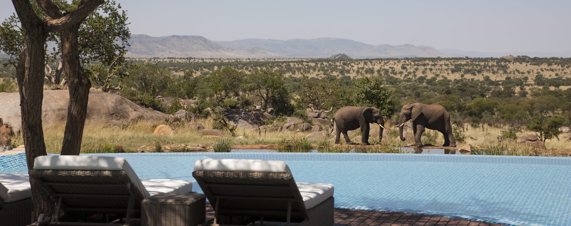 Four Seasons Safari Lodge Serengeti; High end Lodge in Serengeti