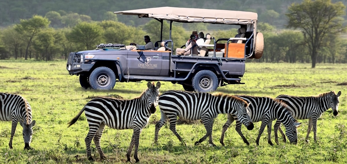 8 days Luxury Tanzania Safari with Lemala Lodges