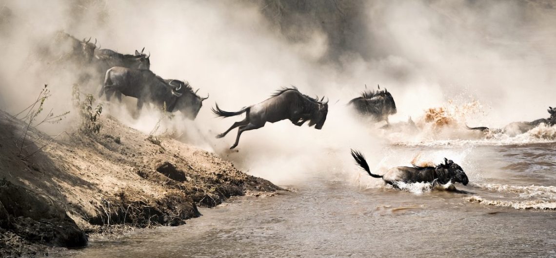 Best Luxury Camps and Timing for Great Migration Serengeti