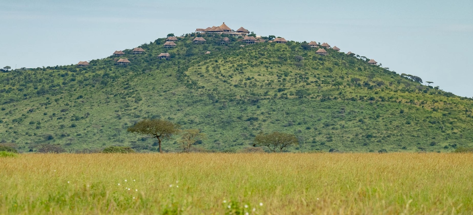 Wellworth Serengeti Lake Magadi Lodge